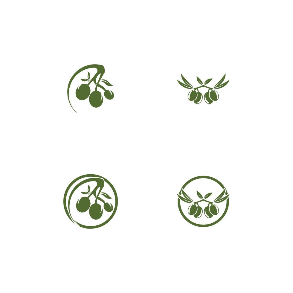 Diseño de ilustración de icono de vector de plantilla de logotipo de oliva