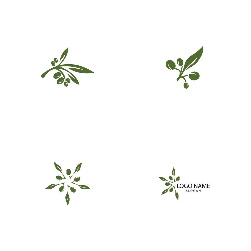 Olive logo template vector icon illustration design