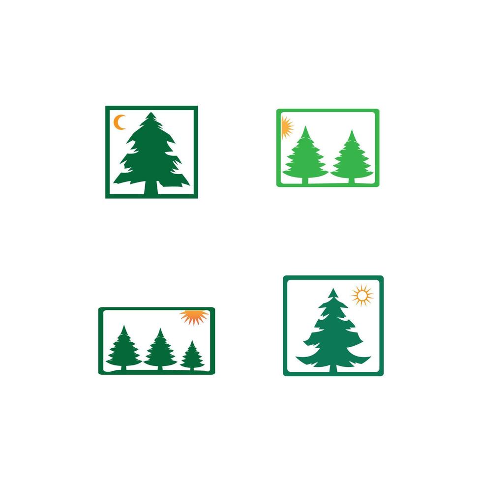 pine tree logo illustration vector design