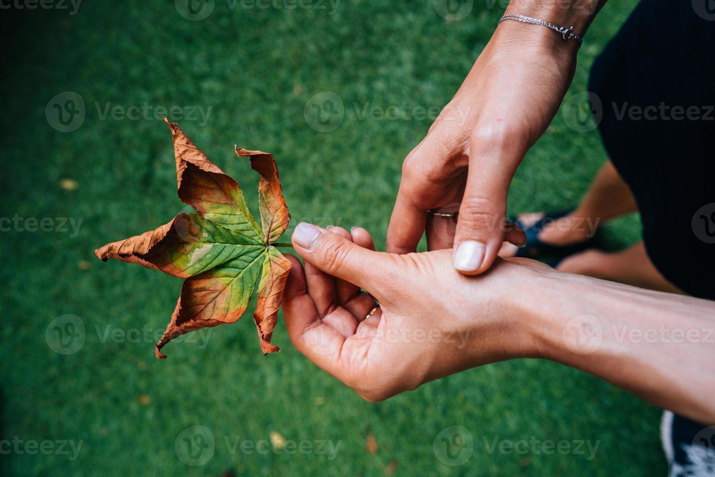 Woman hold nice yellow leaf in hand. photo