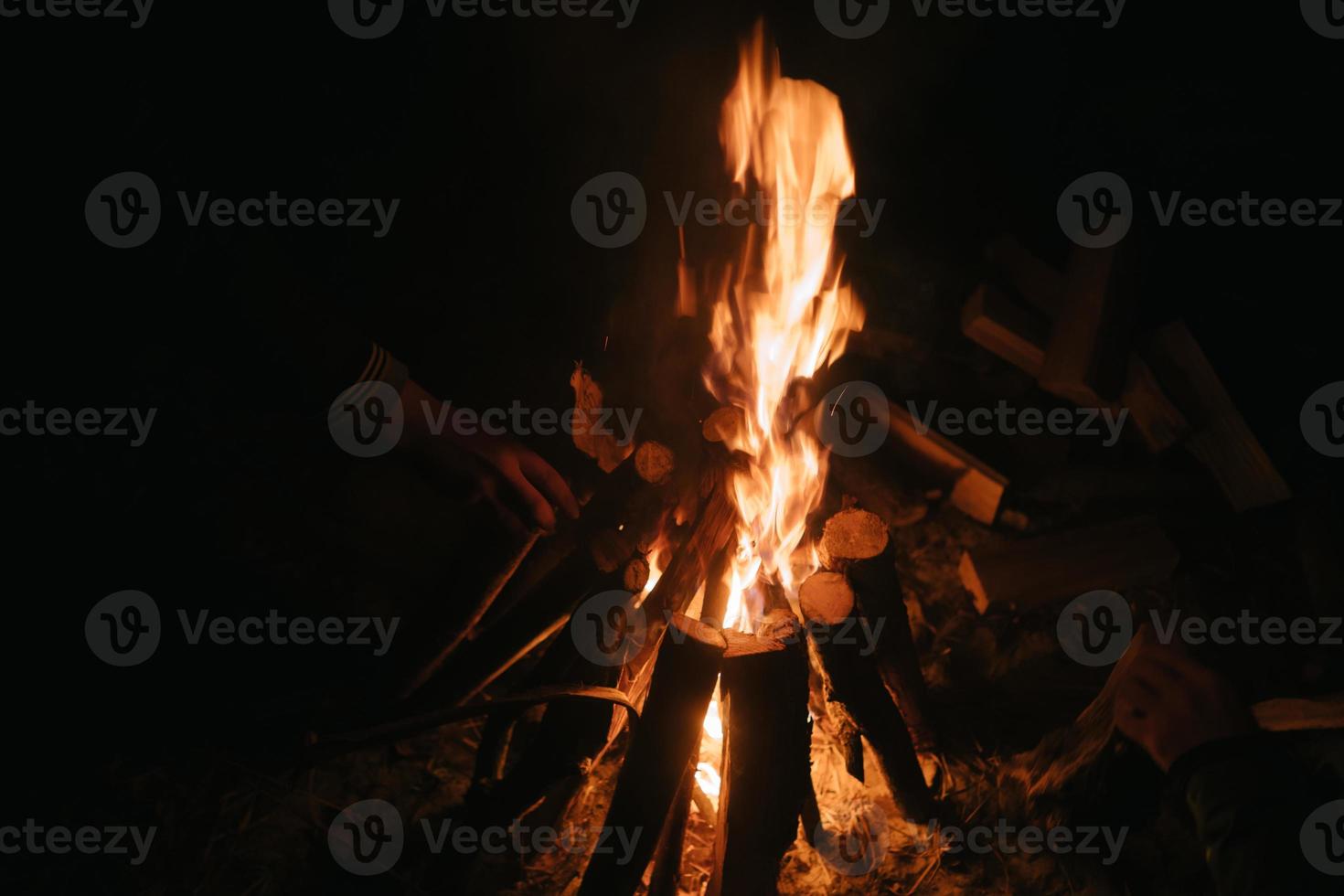 Beautiful fire in the forest on a black background. photo