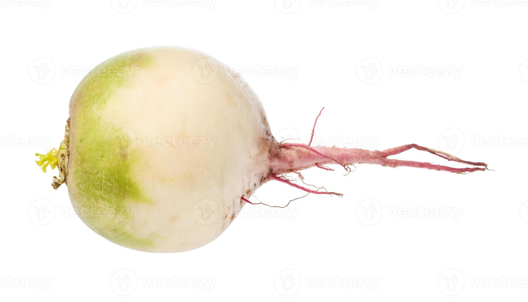 fresh watermelon radish isolated on white photo