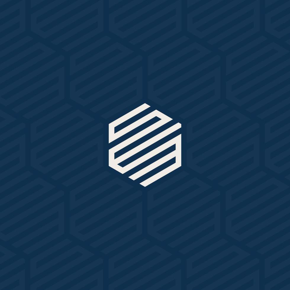 SWM or SEM hexagonal logo with background pattern design vector