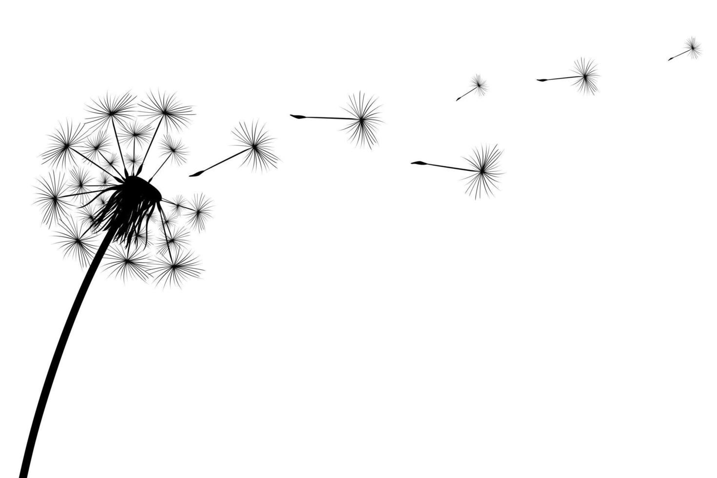 Silhouette of a simple single dandelion vector