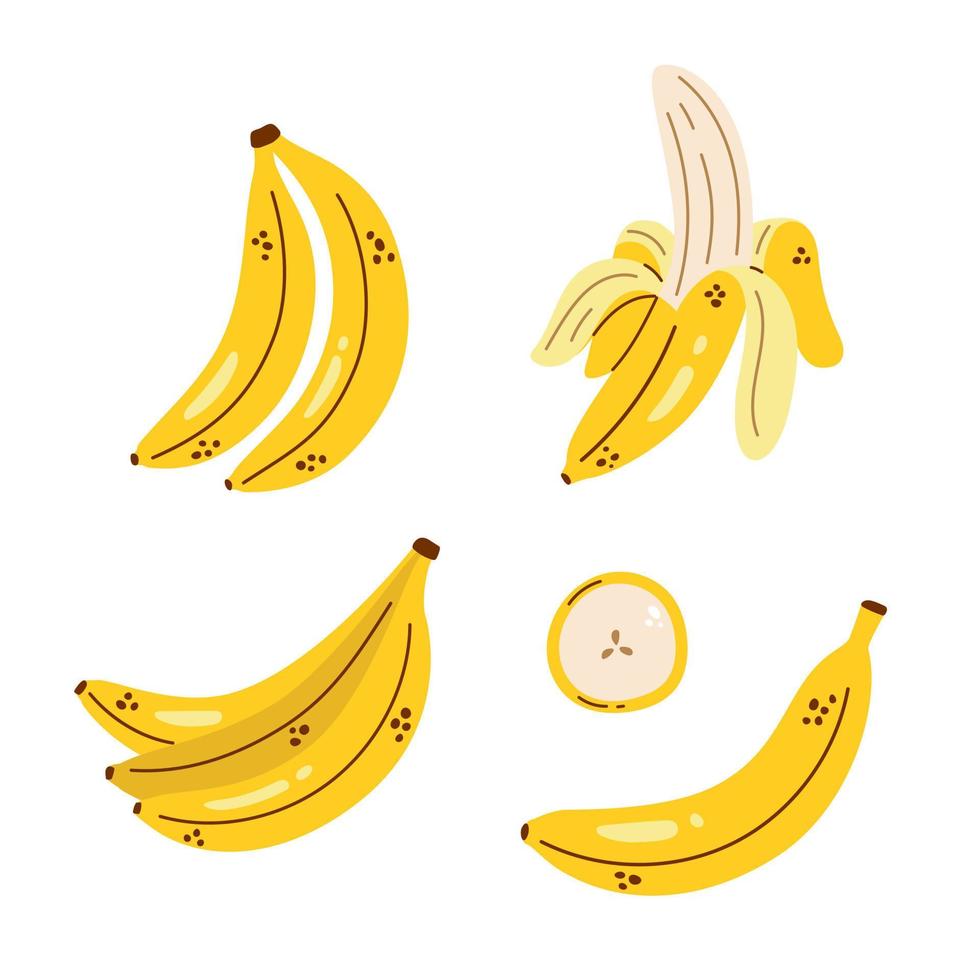 Vector banana set. Banana bunch, peeled banana and banana slice. Cute collection with bananas. Tropical fruit.