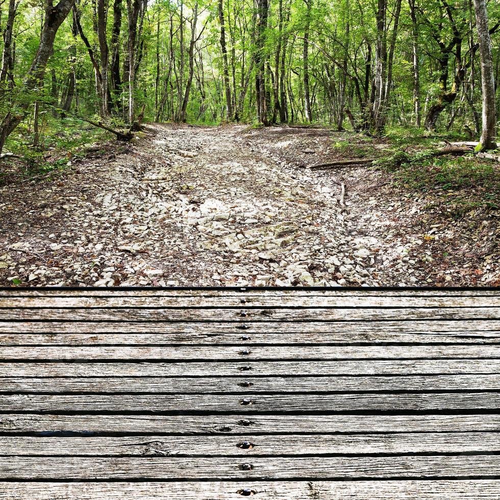 wooden footbridge over stone dried creek bed photo