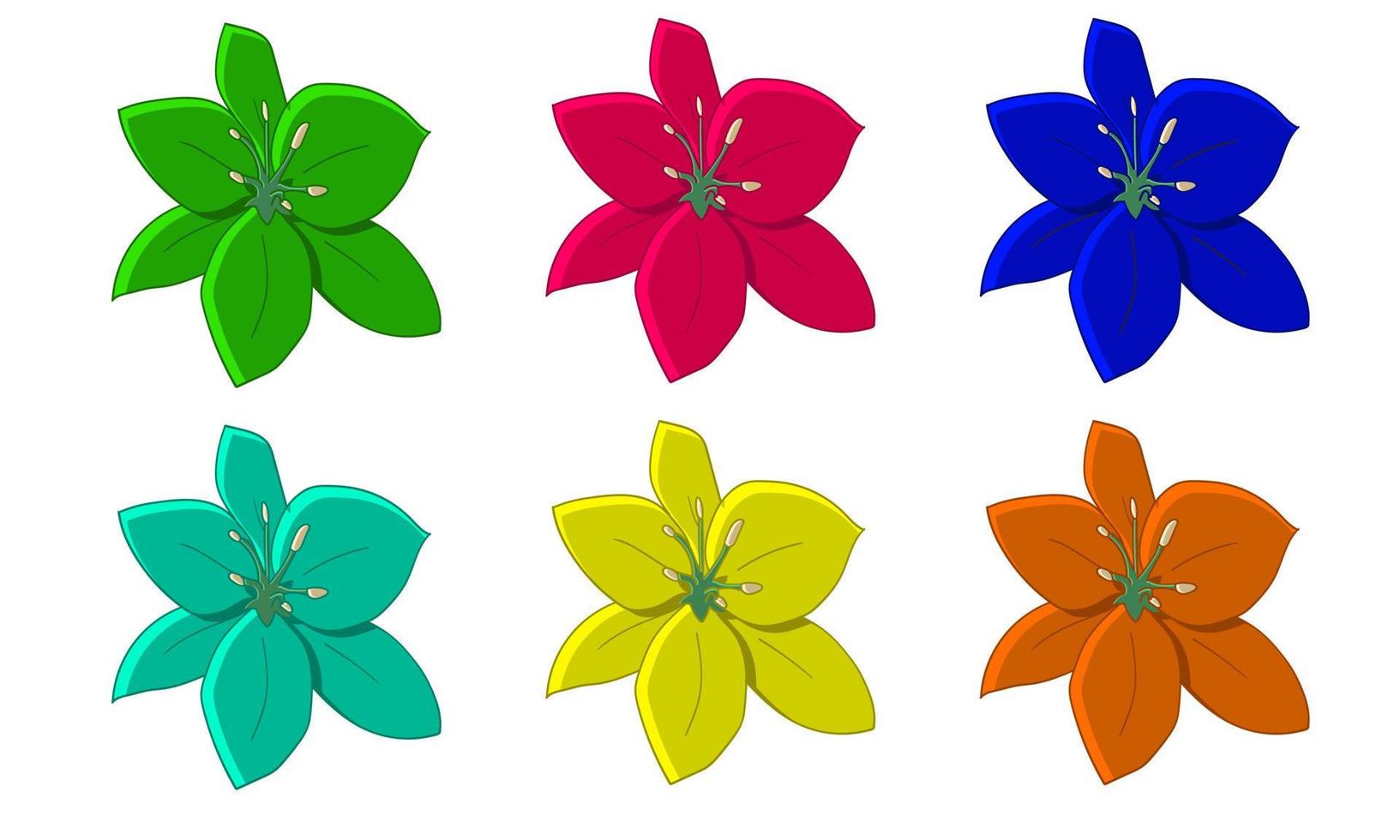 colorful flower with hand drawn illustration vector