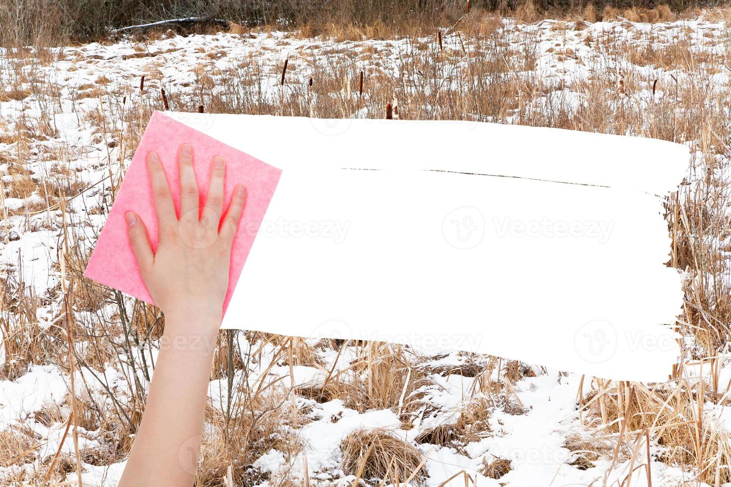 hand deletes frozen swamp by pink rag photo