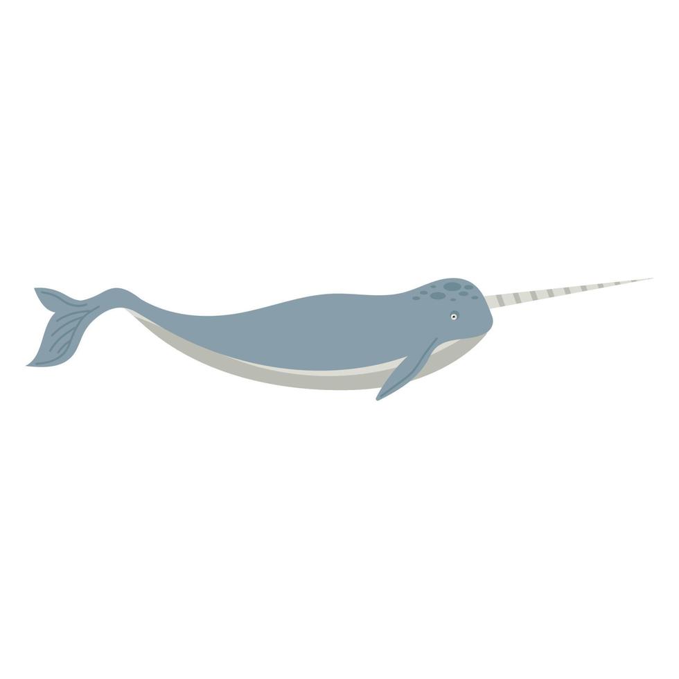 narwhal whale animal vector