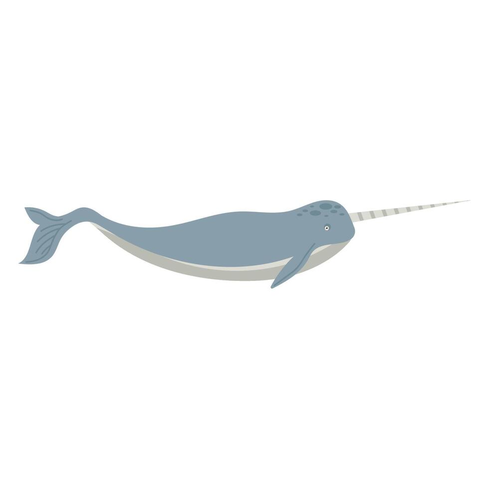 ballena narval animal vector