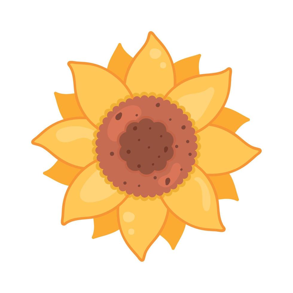 yellow sunflower plant vector