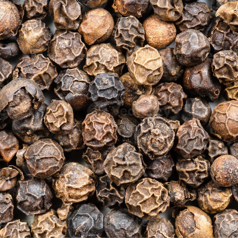 hainan black pepper close up photo