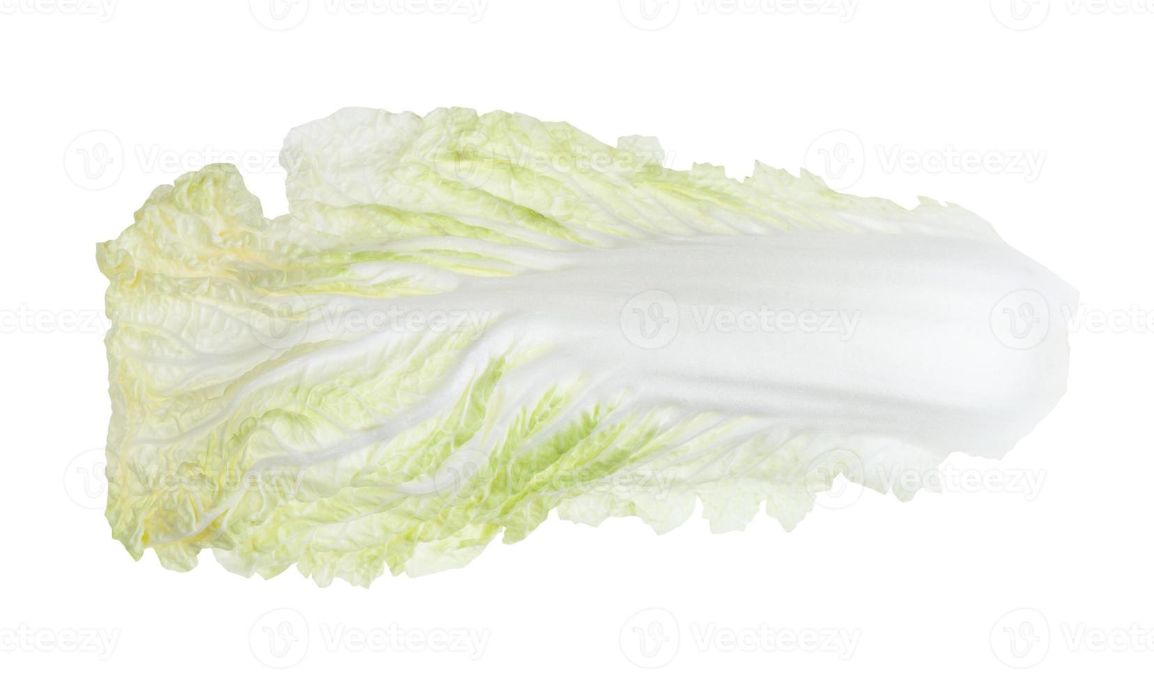 fresh leaf of Napa cabbage isolated on white photo