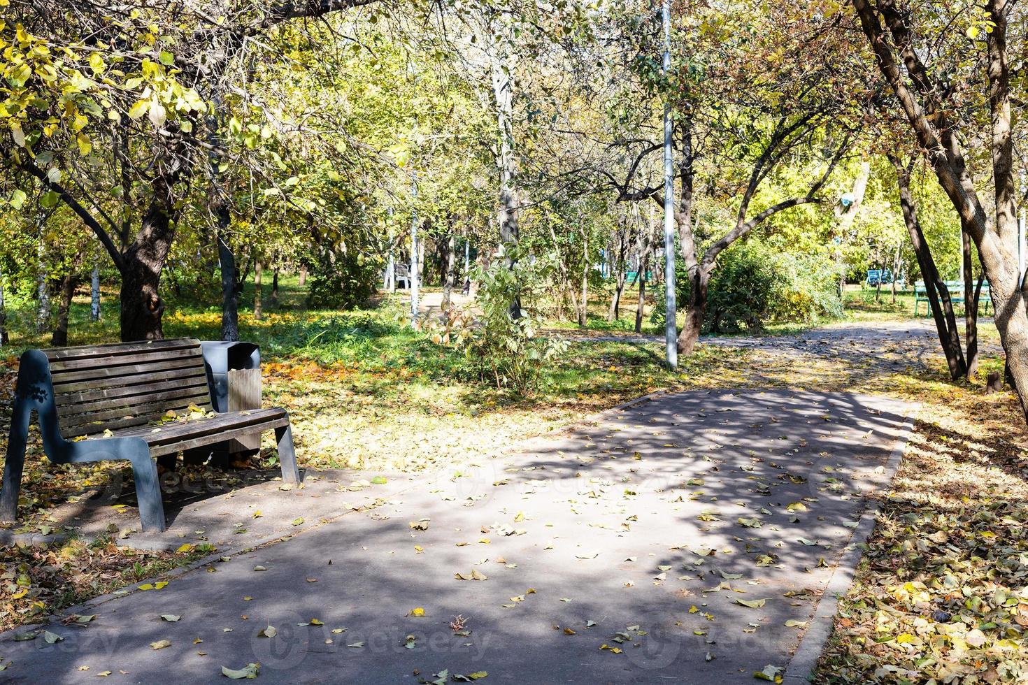 view of public urban garden on autumn day photo