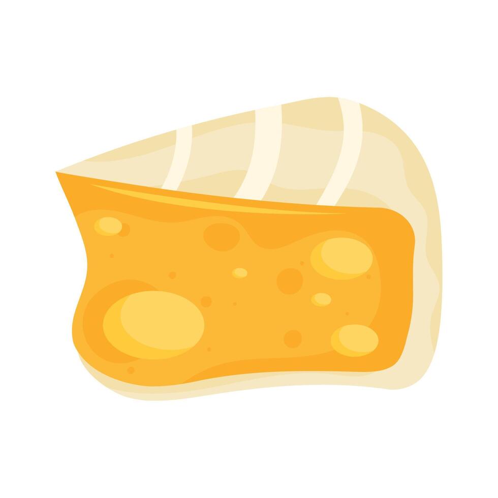 delicious camembert cheese vector