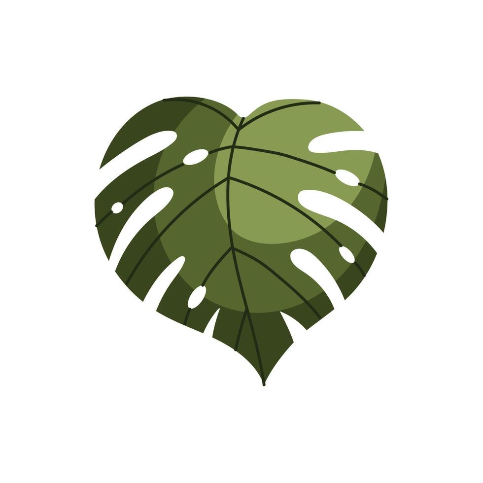 tropical leaf plant vector