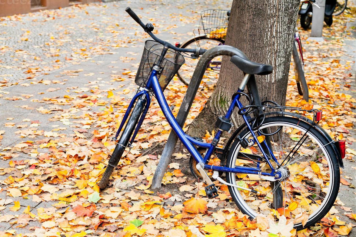 bicycle parked on street with autumn leaves in Berlin photo