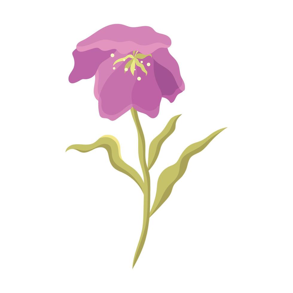 purple flower garden vector