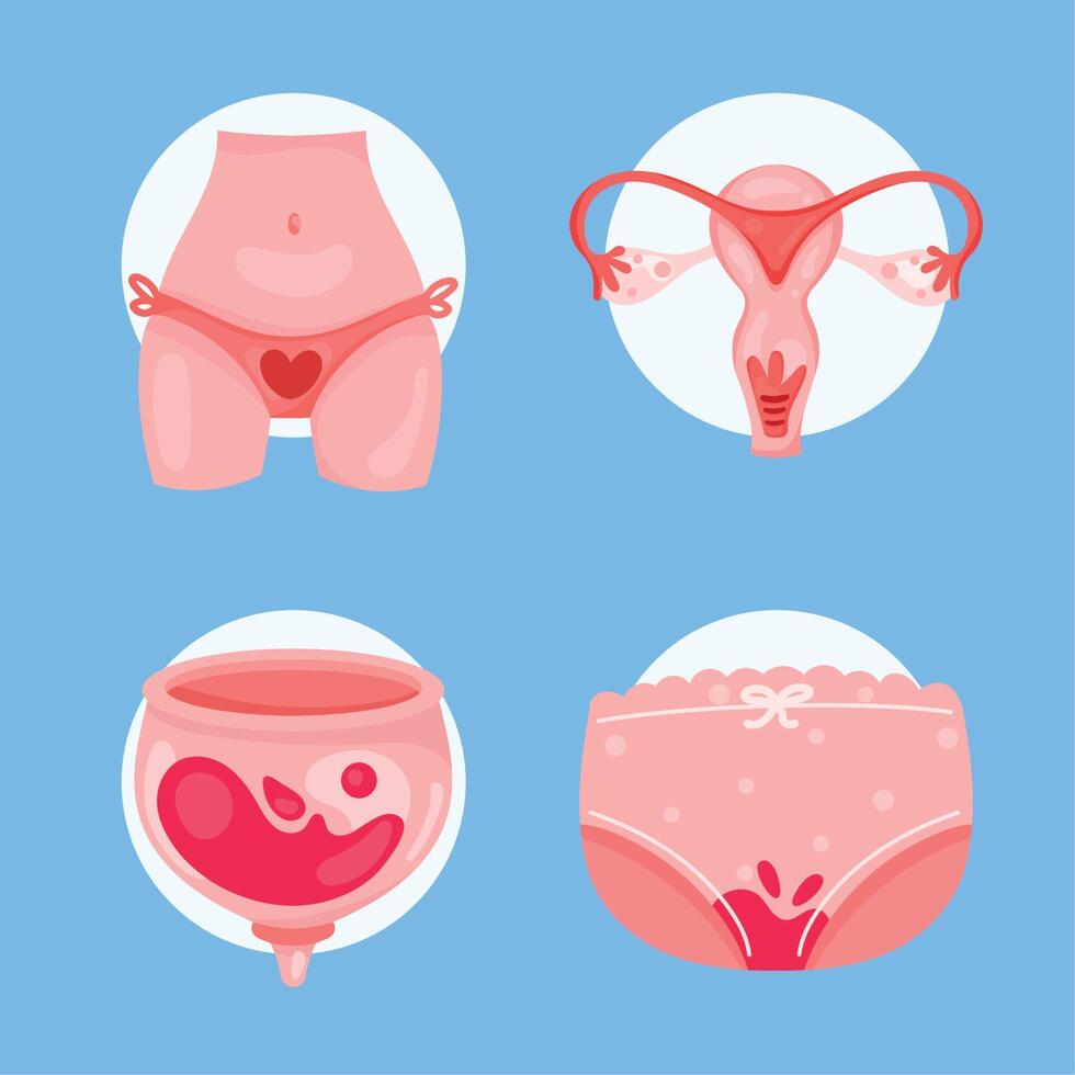 cuatro iconos del ciclo de la menstruación vector