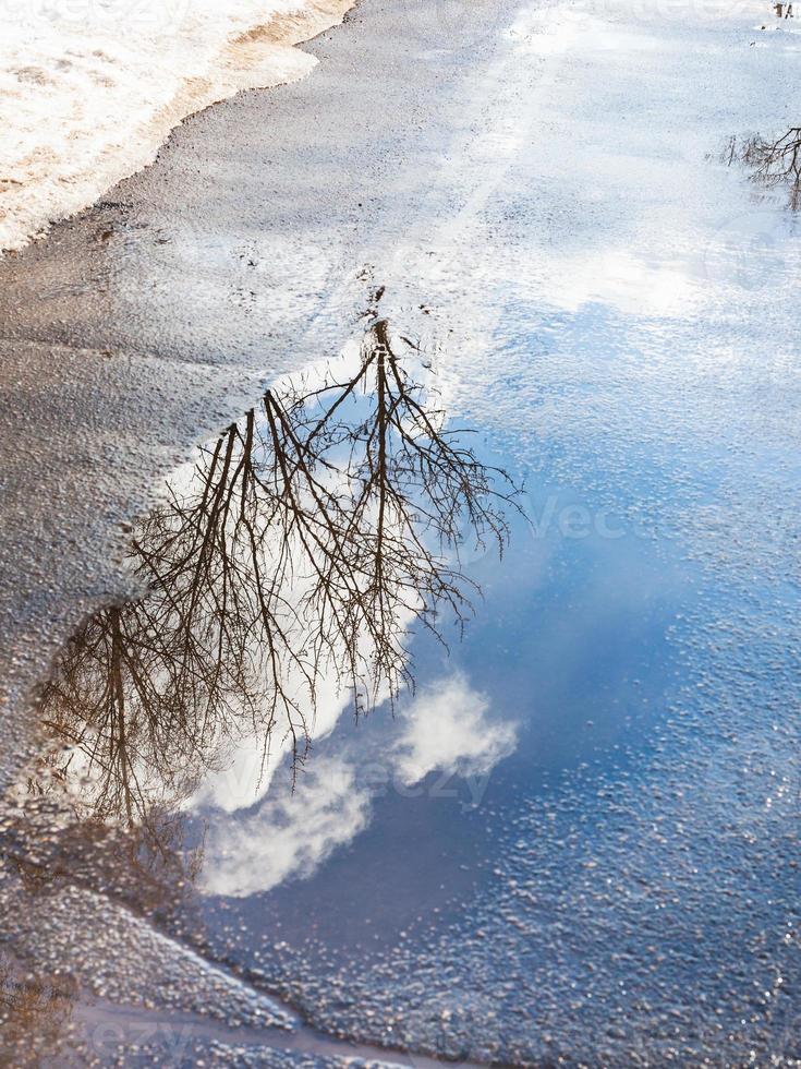 trees and clouds reflected in puddle in spring photo