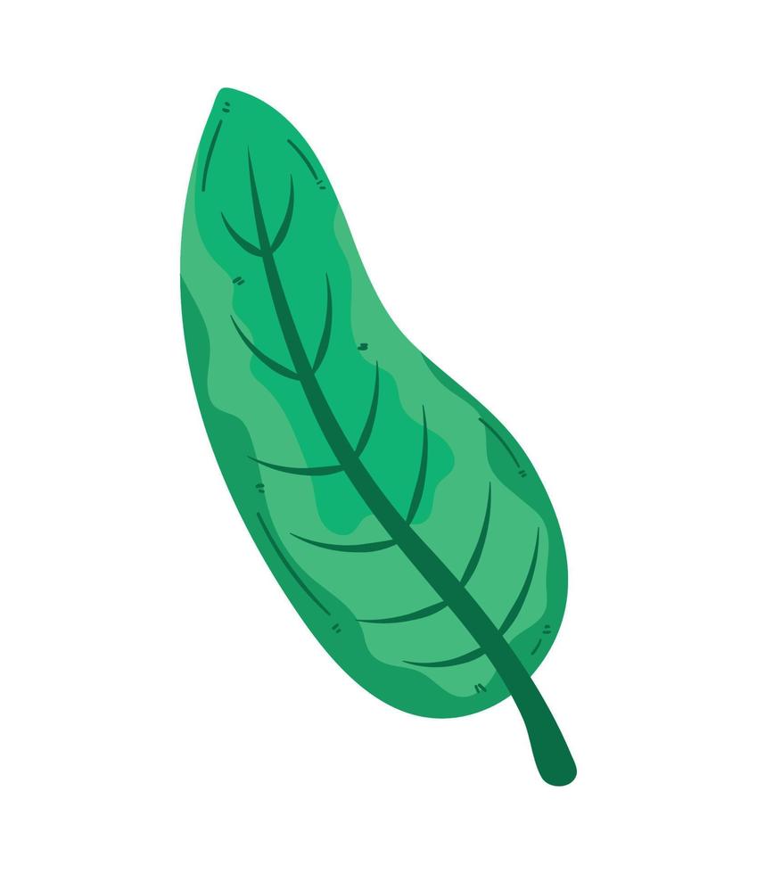 follaje de la planta de hoja verde vector