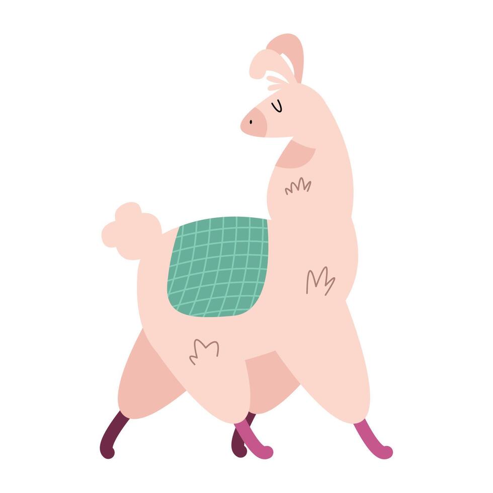 pink llama perubian animal vector