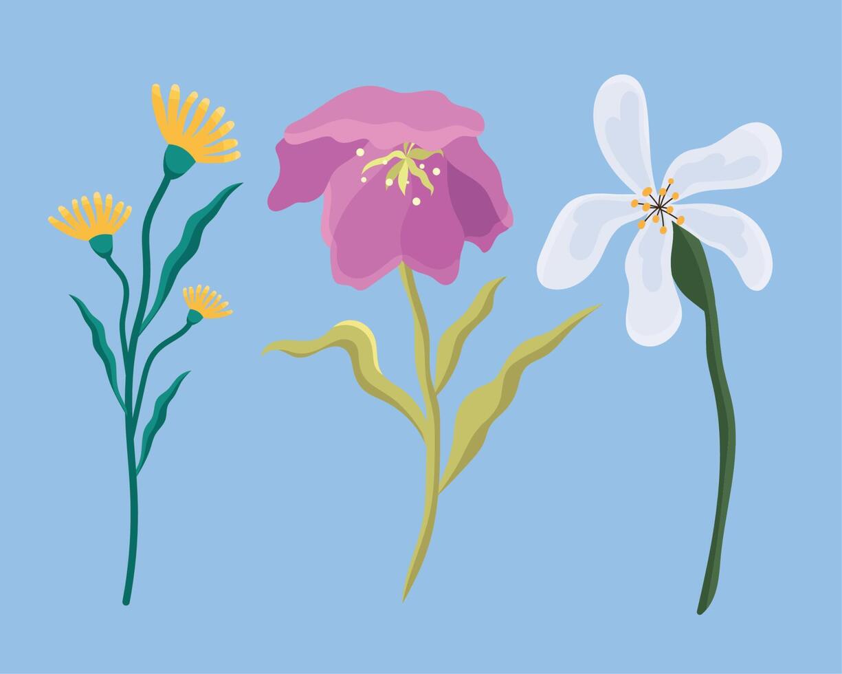 tres iconos de flores de primavera vector