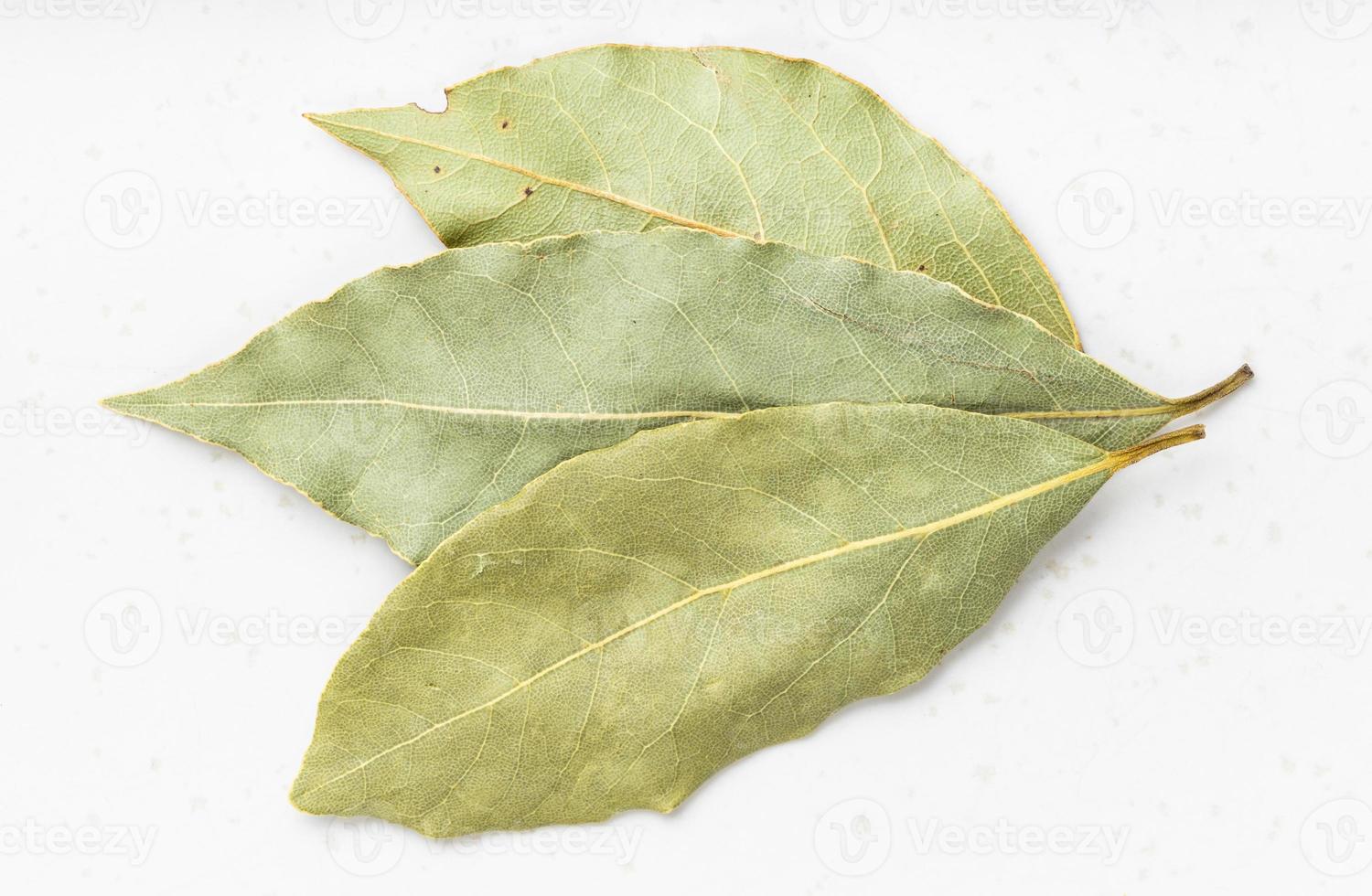 natural dried Bay Laurel leaves close up on gray photo
