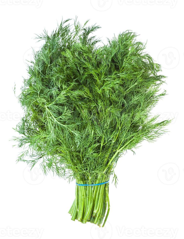 big bunch of natural green dill herb isolated photo