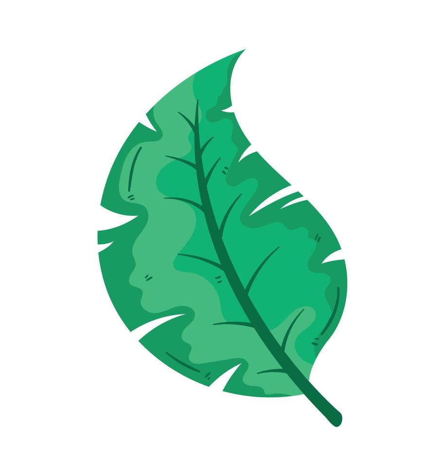ecology leaf plant foliage vector