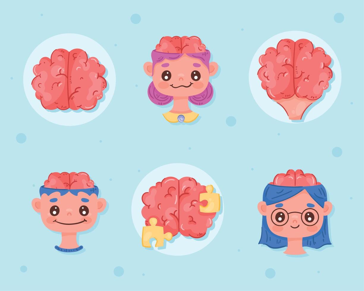 Seis iconos de órganos cerebrales vector