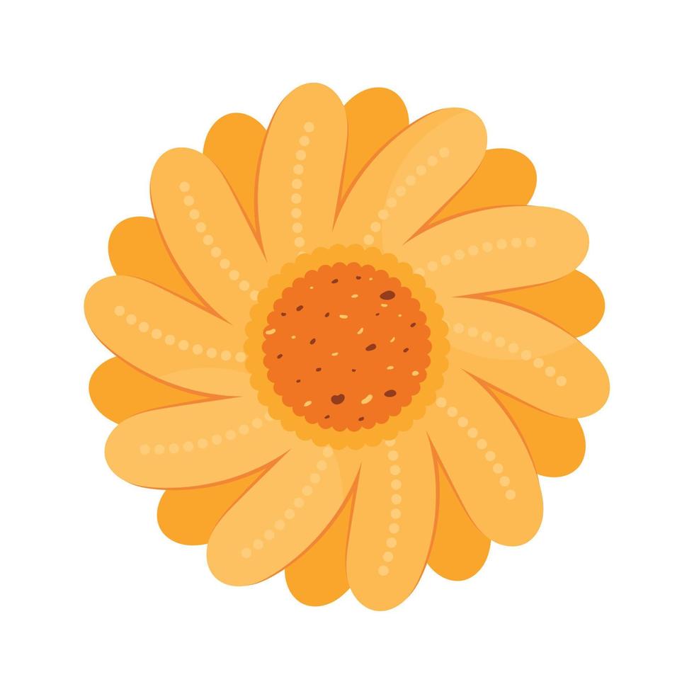 yellow sunflower garden vector