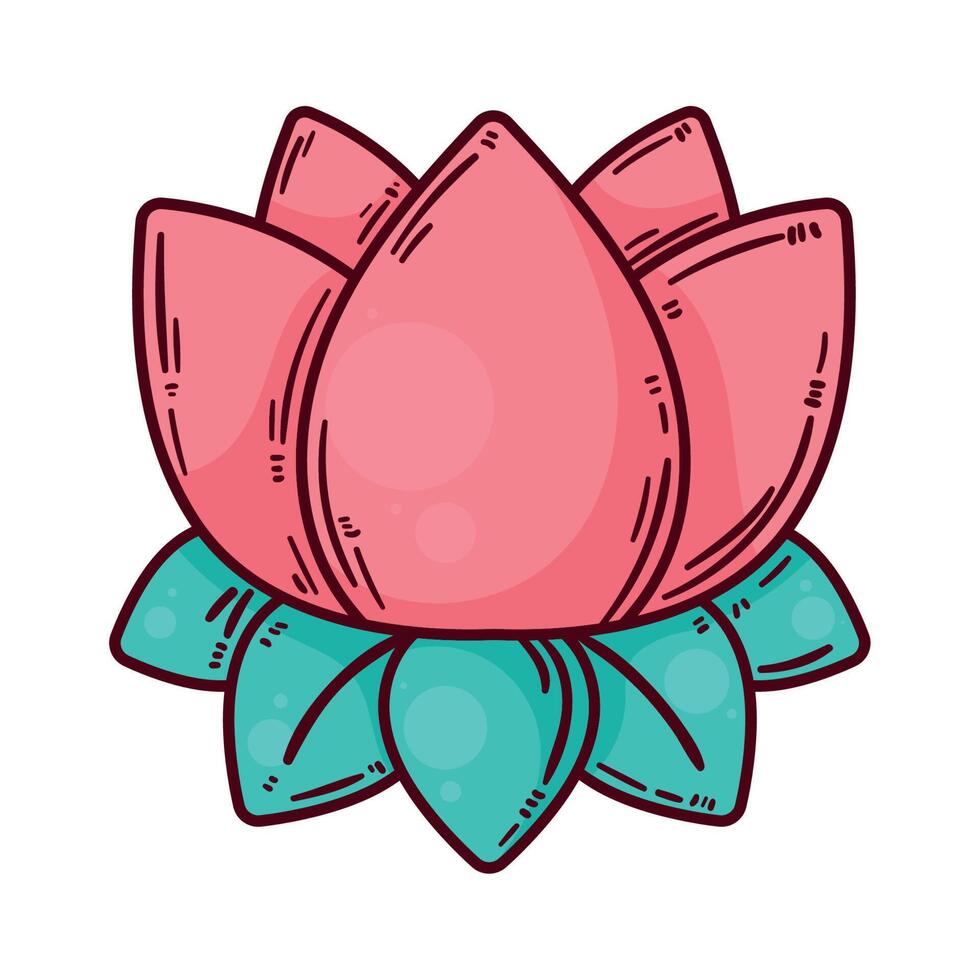 red lotus flower garden vector