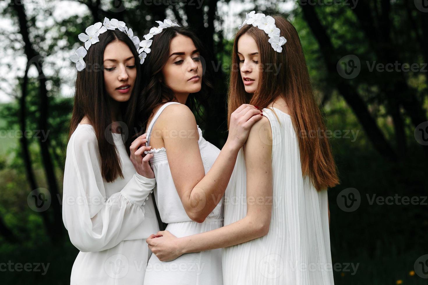 Three charming girls  near a wooden house photo