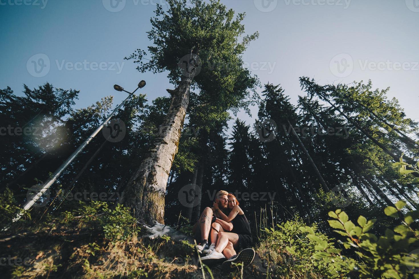 hermosa pareja sentada en un bosque cerca del árbol foto