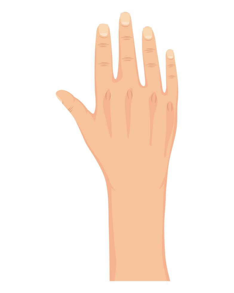 hand human up vector