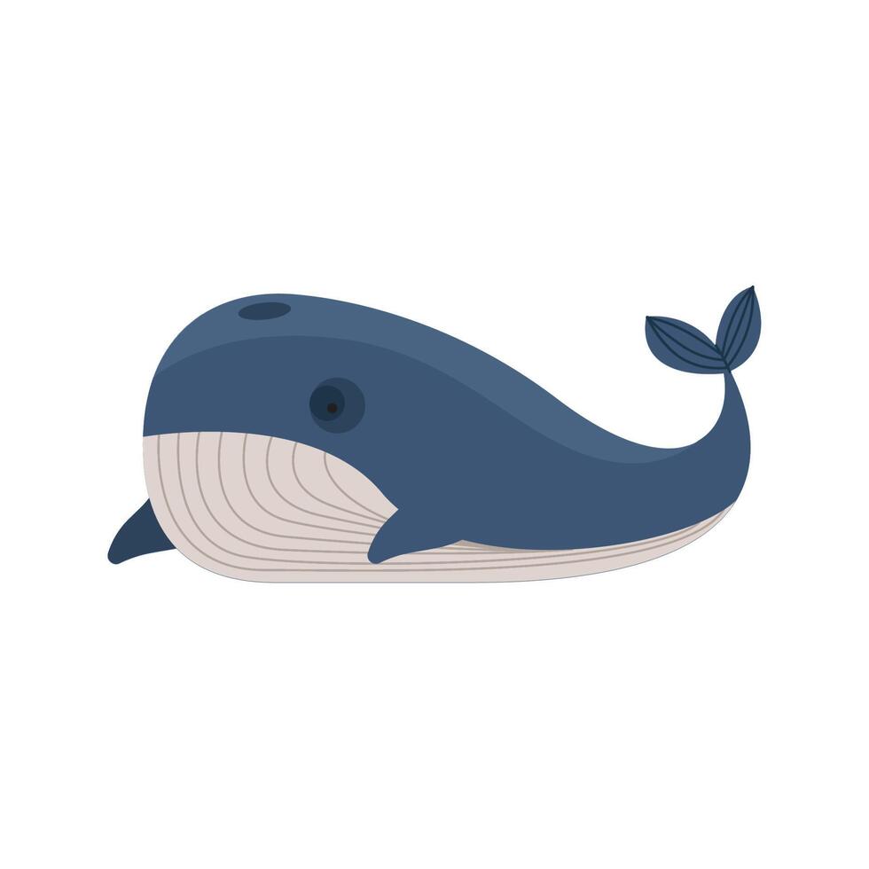 bowhead whale animal vector