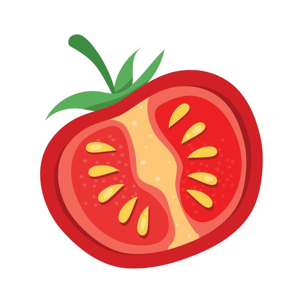 half tomato vegetable vector