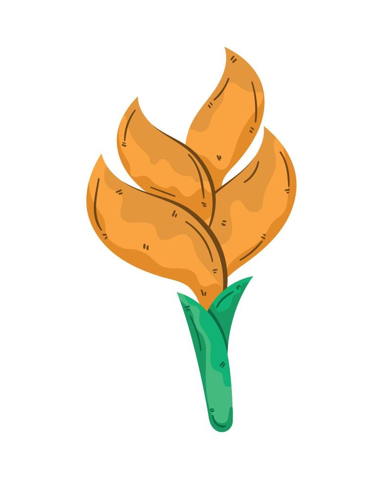 exotic heliconia flower vector