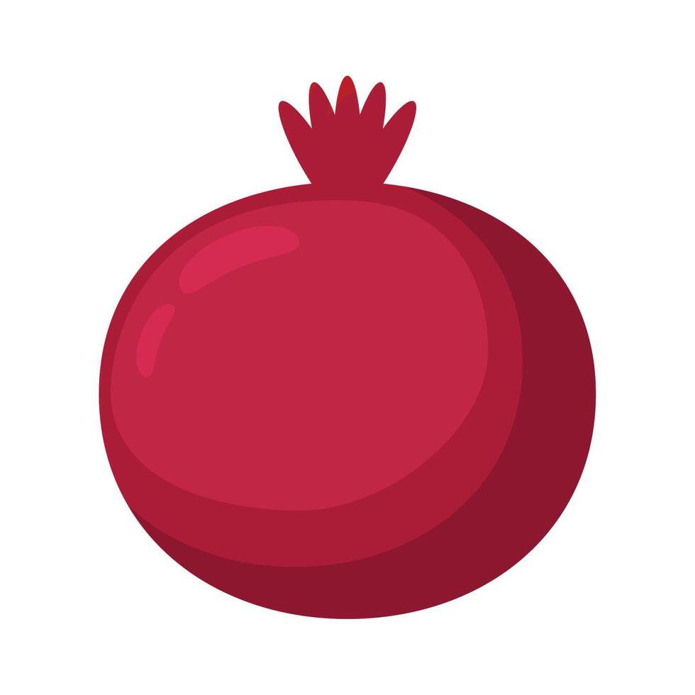 red fresh pomegranate vector