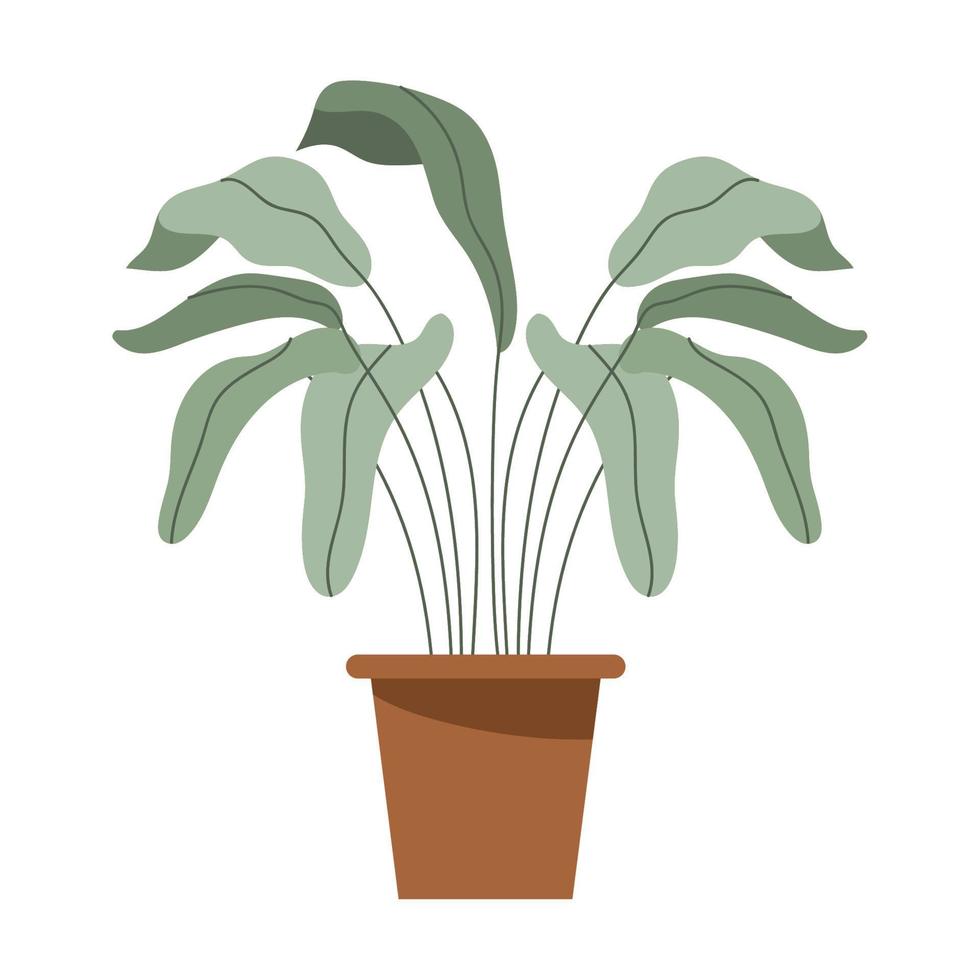 houseplant in classic pot vector