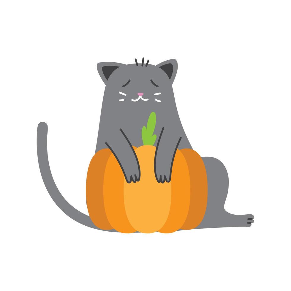 halloween cat with pumpkin vector