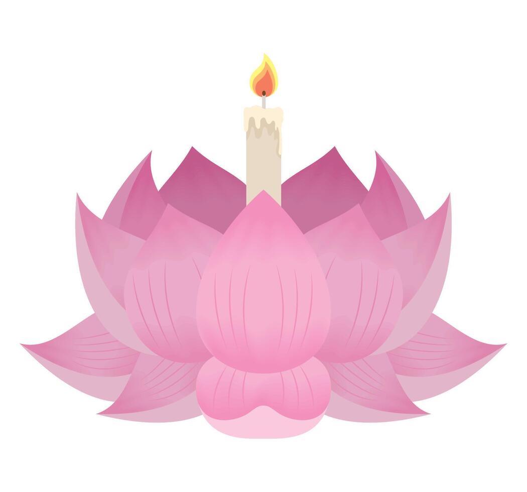 pink lotus flower loy krathong vector