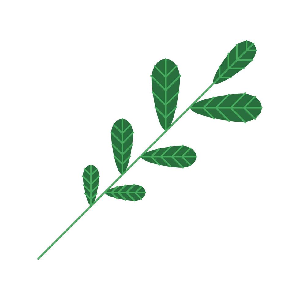 leaf plant foliage vector