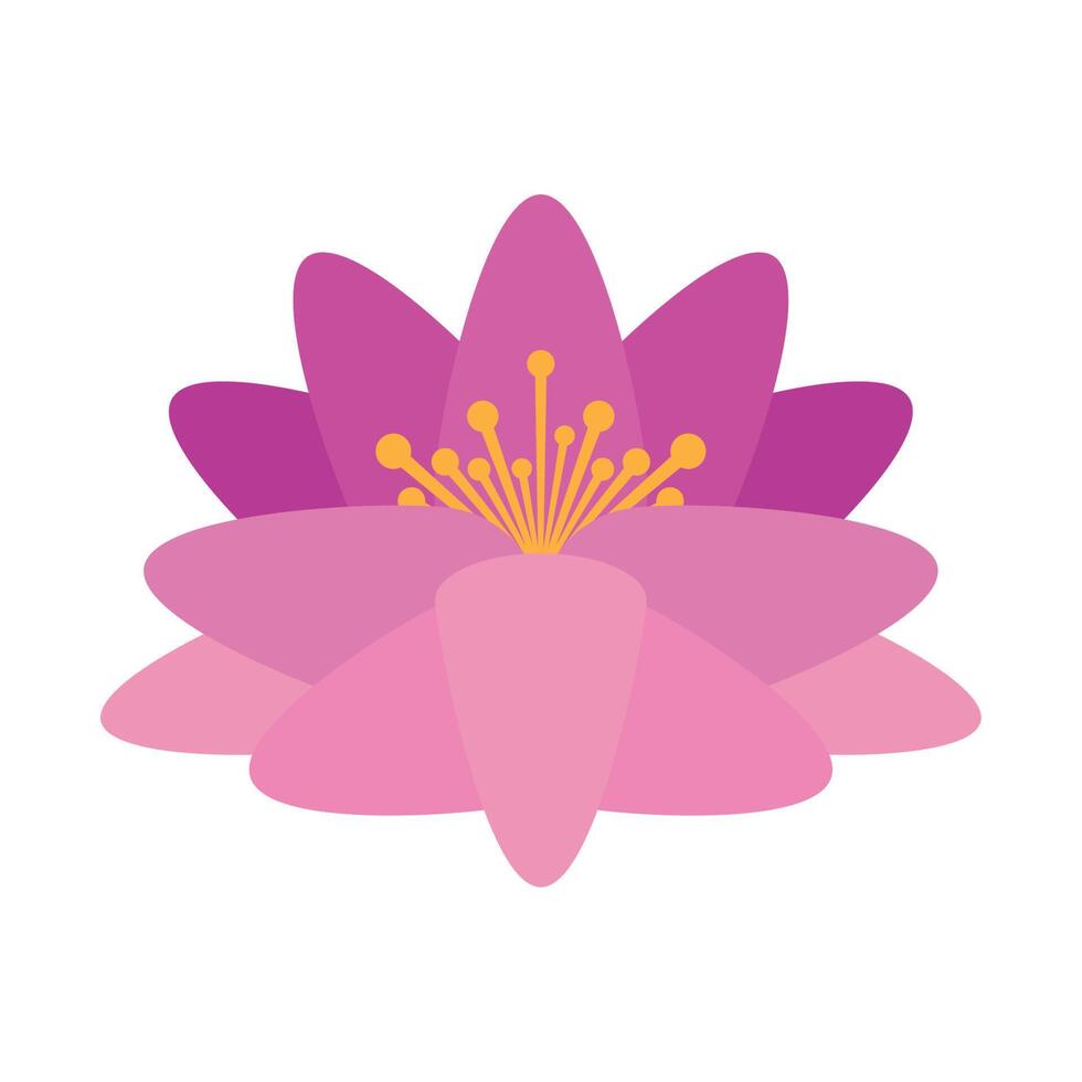 pink lotus flower garden vector