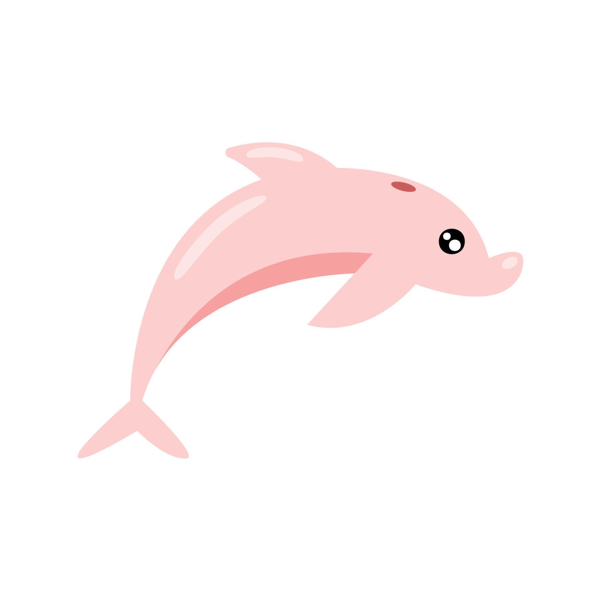 pink dolphin sealife animal 11453549 Vector Art at Vecteezy