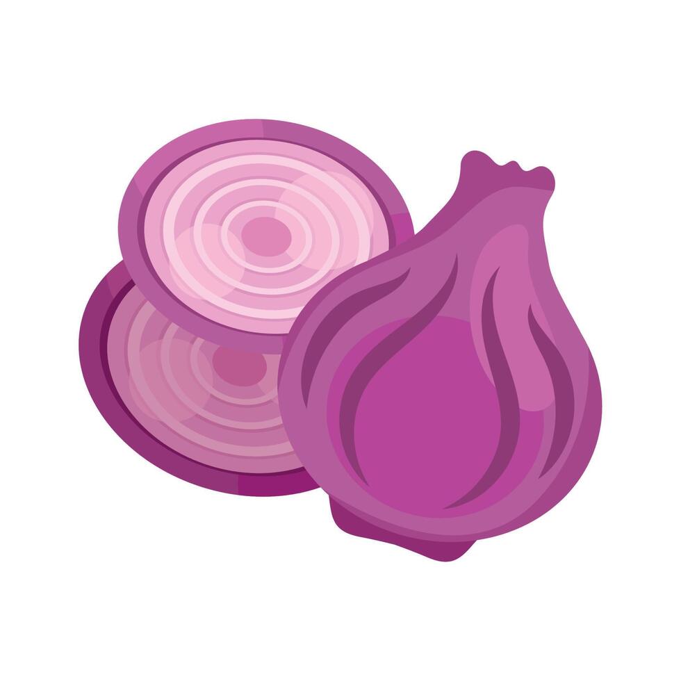 purple onion vegetable slices vector