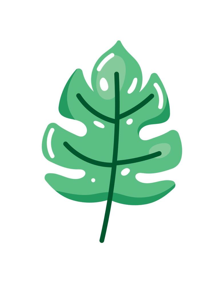 ecology leaf plant vector
