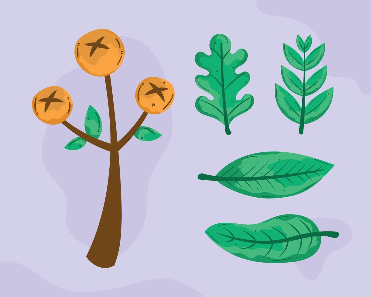 cinco iconos naturales y botánicos vector