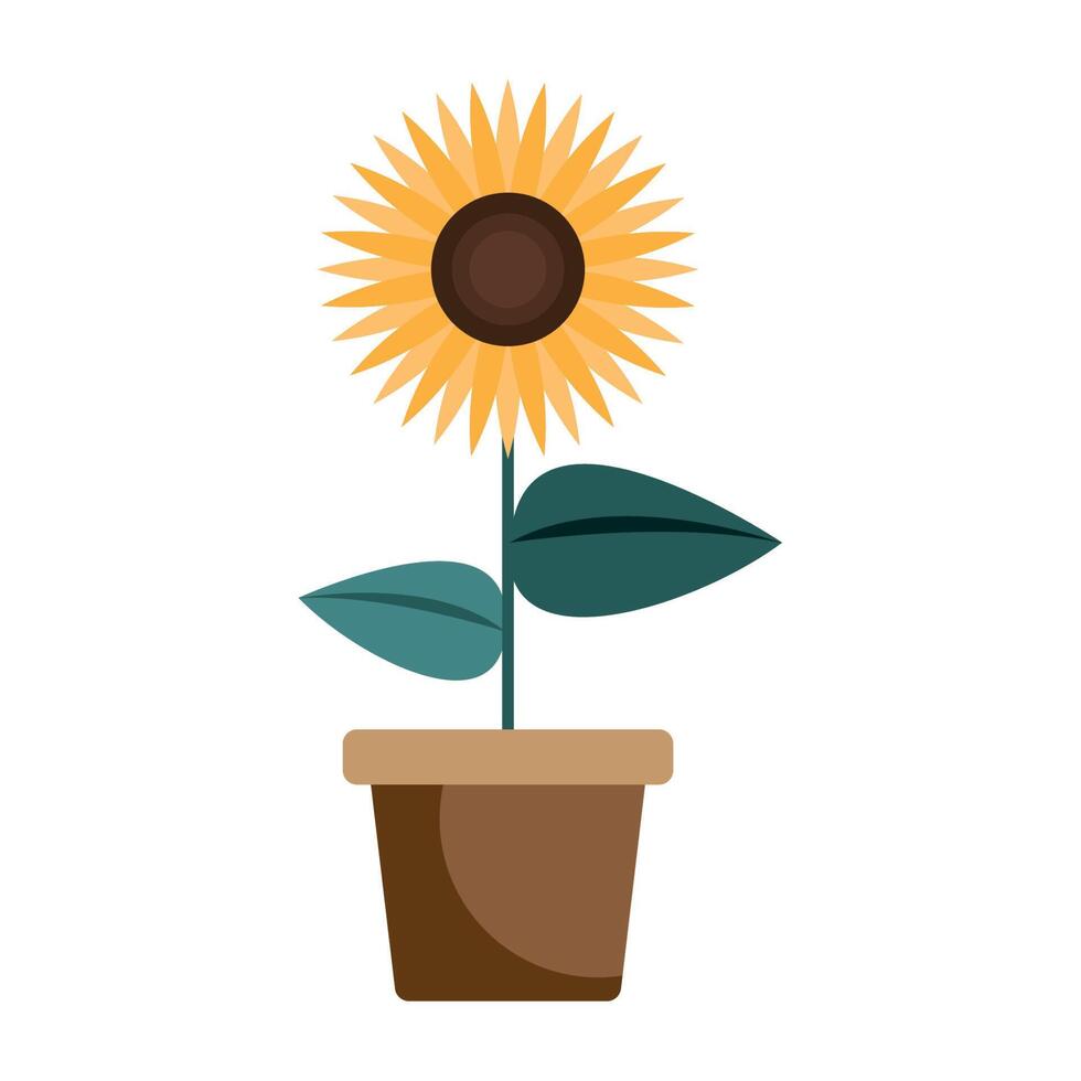 houseplant with sunflower vector